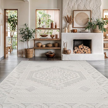 Modern Micro Loop Indoor Area Rugs for Living Room Bedroom Kitchen Geometric Trellis White 6x9 Luxury Durable Low and High Pile Non-Shedding Stain Resistant Soft Area Carpet 6 x 9