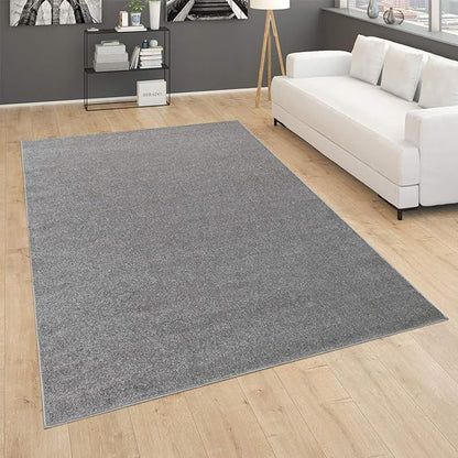 Paco Home Solid Area Rug in Anthracite Modern Plain Design, Size: 4'7" x 6'7"