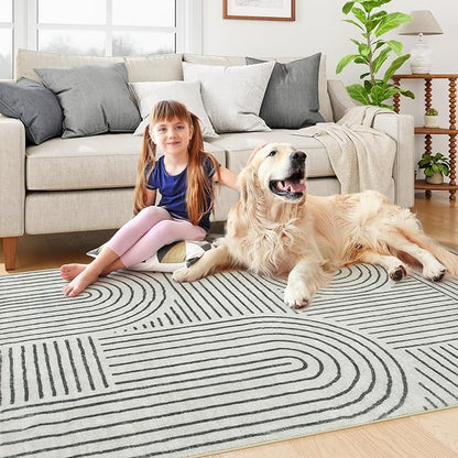 Lahome Abstract Bedroom Rug, Soft 4x6 Rug Ultra-Thin Washable Area Rugs for Living Room, Modern Black Rug Non-Slip Throw Carpet for Entryway Office Kitchen(4'x6',Black)