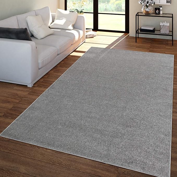 Paco Home Solid Area Rug in Anthracite Modern Plain Design, Size: 4'7" x 6'7"