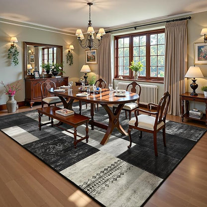 DweIke Washable Area Rugs for Living Room, 4x6 Soft Bedroom Rugs, Geometric Print Non-Slip Modern Rug, Stain Resistant Throw Carpets for Office Nursery Dining Room Home Dorm Decor, Black and White