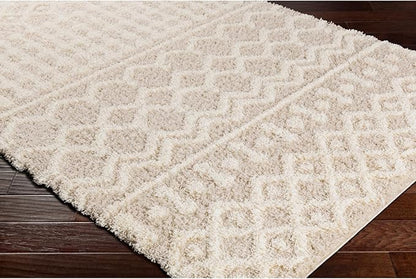 Livabliss Hapsburg Moroccan Shag Area Rug, 6'7" x 9'6", Beige