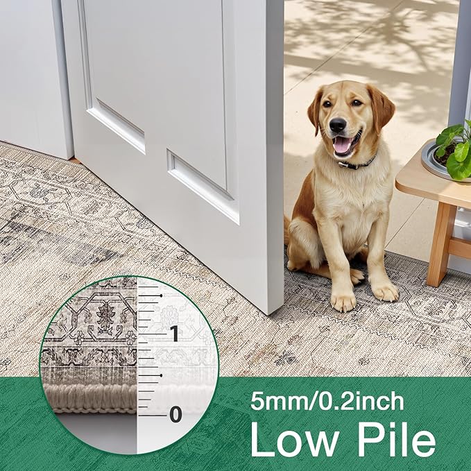 LUMI 4x6 Washable Area Rug for Living Room, Ultra Soft Traditional Rugs Non Slip with Rubber Backing, Low Profile, High Traffic, Stain Resistant Carpets, Ideal for Bedroom, Dining Room, Indoor