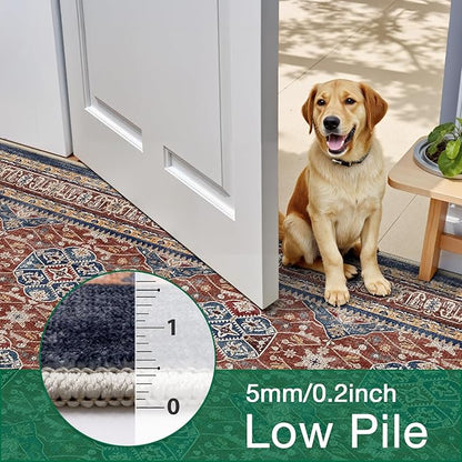 LUMI Washable Area Rug 8x10 for Living Room, Ultra Soft Stain Resistant Carpet with Non Slip Rubber Backing, Non-Shedding Low Pile Rugs for Bedroom, Dining Room, Indoor, Office