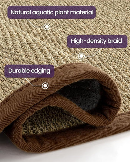 DEXI Area Rug Natural Fiber 6x9, Braided Woven Seagrass Rugs No Shed, Large Soft Neutral Rustic Carpet Mat for Indoor Entryway Outdoor Patio Dining Living Room Bedroom Farmhouse, Natural
