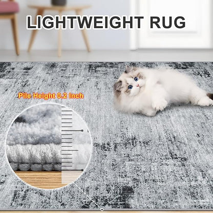 Area Rugs Living Room Rug - 5x7 Washable Modern Abstract Soft Neutral Non-Slip Carpet Large Indoor Floor Thin Carpets for Bedroom Dining Room Farmhouse Nursery Home Office Black