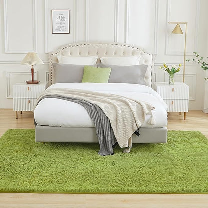 Andency Olive Green Soft Area Rugs for Living Room Bedroom, 3x5 Non-Slip Fluffy Shag Carpet, Indoor Floor Fuzzy Shaggy Living Room Plush Rug for Kids Dorm Nursery Home Decor Aesthetic