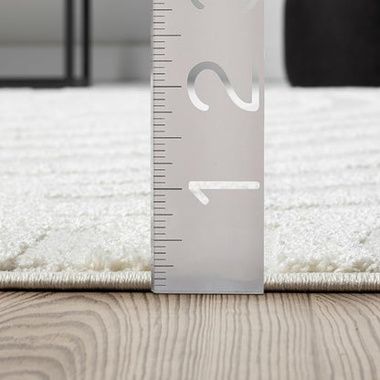 Abani Nomad Cream Tone-on-Tone Area Rug 6' x 9' for Living Room, Bedroom - Linear Curves Pattern - Durable & Easy to Clean