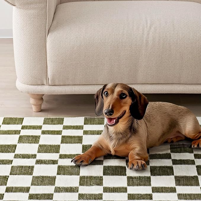 EVERGRACE Checkered Plaid Area Rug 9x12, Soft Faux Wool Rugs Washable Anti Slip Rugs Large Rug Carpet for Entryway Bedroom Living Room Hallway Kitchen Dining Room and Laundry Room, Olive Green