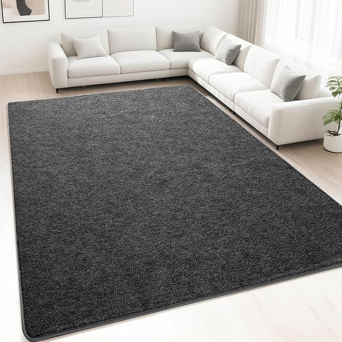 HQAYW 4x6 Area Rugs for Living Room Bedroom, Modern Thickened Memory Foam Soft Rug, Indoor Low Pile Minimalist Washable Non Slip Carpets for Kids Girls Boys Nursery Dorm Home Decor, Dark Grey