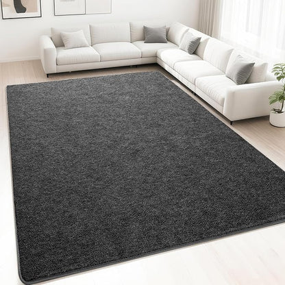 HQAYW 5x7 Area Rugs for Living Room Bedroom, Modern Thickened Memory Foam Soft Rug, Indoor Low Pile Minimalist Washable Non Slip Carpets for Kids Girls Boys Nursery Dorm Home Decor, Dark Grey
