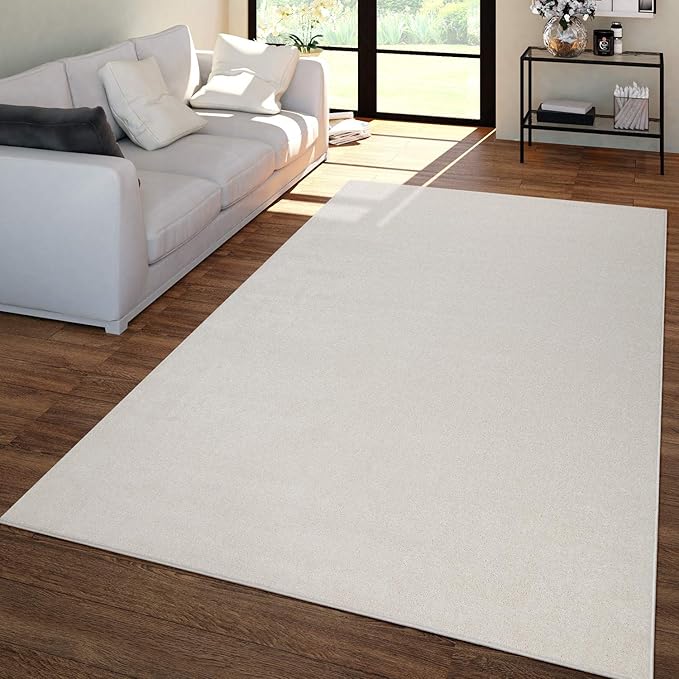 Paco Home Solid Area Rug in Cream Modern Plain Design, Size: 2' x 3'3"