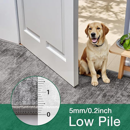 LUMI 5x8 Washable Area Rug for Living Room, Ultra Soft Modern Neutral Grey Rugs Non Slip with Rubber Backing, Low Profile, High Traffic, Stain Resistant Carpets, Ideal for Bedroom, Dining Room