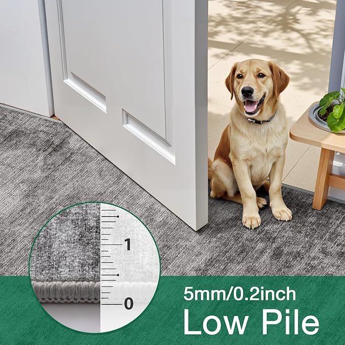 LUMI 8x10 Washable Area Rug for Living Room, Ultra Soft Modern Neutral Grey Rugs Non Slip with Rubber Backing, Low Profile, High Traffic, Stain Resistant Carpets, Ideal for Bedroom, Dining Room