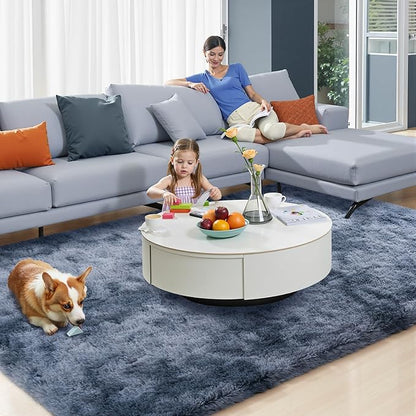 Zentavio Area Rugs for Living Room Large Rugs for Bedroom 6x9 Carpet Fluffy Fuzzy Soft Shag Aesthetic Plush High Pile Gray Throw Rug for Nursery Kids Room Dorm Tie-Dyed Blue Grey