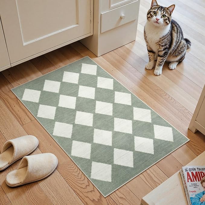 Lahome Checkered Washable 2x3 Green Kitchen Rugs Non Slip, Small Printed Indoor Door Mat for Entryway, Moroccan Trellis Ultra-Thin Throw Carpet for Bedroom Laundry Entrance Decor (2'x3',Green)