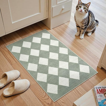 Lahome Checkered Washable 2x3 Green Kitchen Rugs Non Slip, Small Printed Indoor Door Mat for Entryway, Moroccan Trellis Ultra-Thin Throw Carpet for Bedroom Laundry Entrance Decor (2'x3',Green)