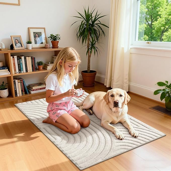 Pauwer 2x3 Washable Area Rugs for Living Room Modern Beige Solid Color Soft Fluffy Rugs for Bedroom Non Slip Boho Accent Indoor Mat Floor Carpet Cover for Kids Room Dining Room Kitchen Office, Beige
