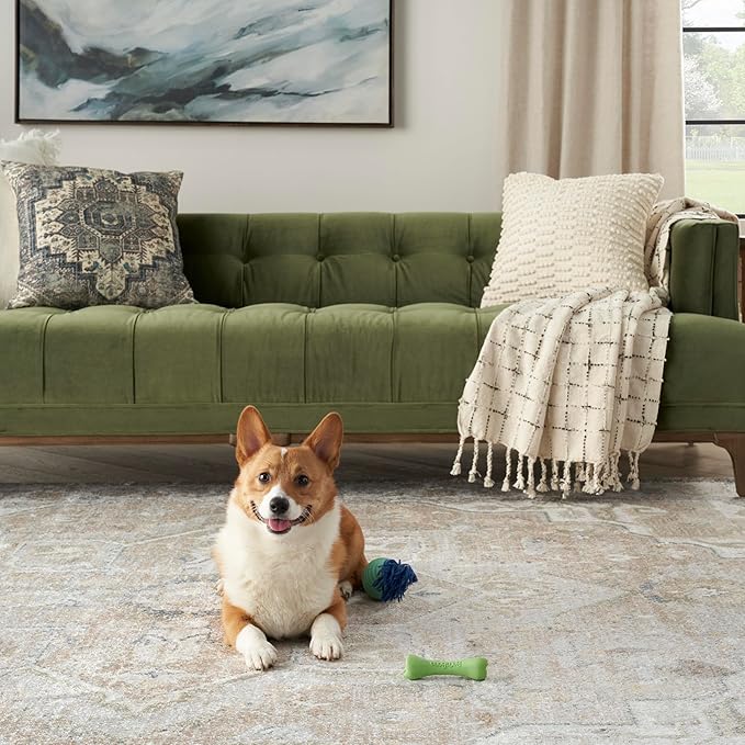 Nourison Home Astra Machine Washable Beige 9' x 12' Area Rug - Easy Clean, Non Shedding, Bed Room, Living Room, Dining Room, Kitchen (9' x 12')