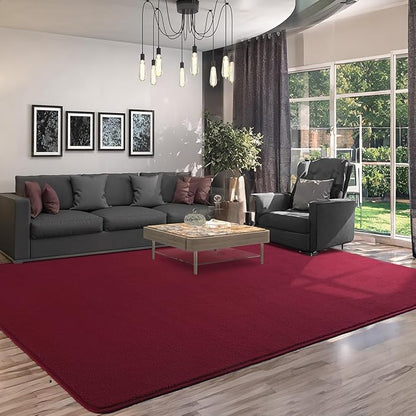 AROGAN Modern Shag Area Rug for Living Room, 5x7 Feet Washable Indoor Floor Carpet, Plush Memory Foam Bedside Rugs for Kids Girls Teens, Low Pile Decor, Wine Red