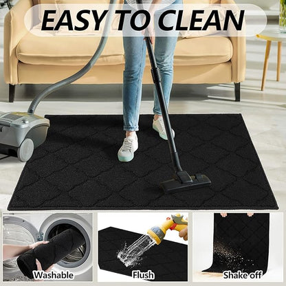 Timo Indoor Doormat, Front Door Mat 36"x59" Absorbent Rubber Backing Non Slip Door Mats, Machine Washable Resist Dirt Low Profile Rugs for Entryway, Front Door Rugs Indoor for Muddy Wet Shoes, Black