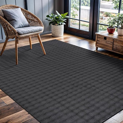 CAMILSON Modern Dark Gray Non Slip Rug 5x7 Ultra Soft High Pile Area Rugs Non Skid Rubber Backing Durable & Easy to Clean Carpet for Living Room Bedroom Kids Room Indoor Use (5 x 7 Dark Gray)