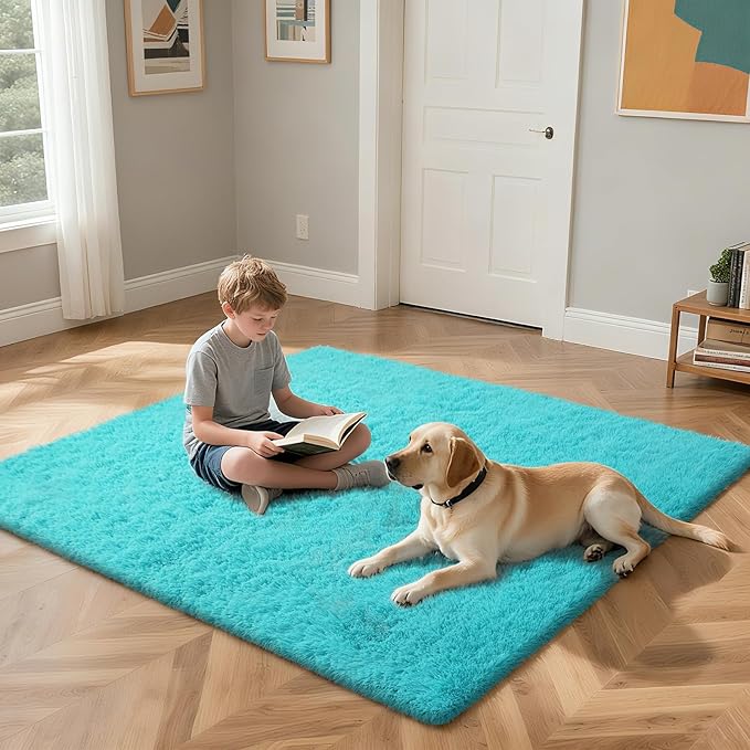 Teal Blue Rug Fluffy Rugs, 3x5 Teal Area Rugs for Bedroom, Soft Cute Baby Play Mat, Indoor Floor Carpet for Teen, Nursery, Preppy Dorm, Plush Aesthetic Bedside Rug
