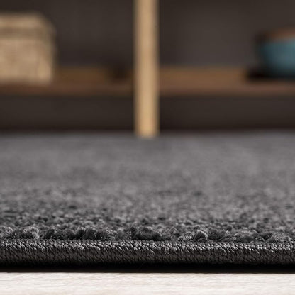 JONATHAN Y Haze Solid Low-Pile Black Indoor Area Rug 3x5, Coastal,Bohemian,Minimalist,Classic, Easy-Cleaning for Living Room,Bedroom,Kitchen,Pet Friendly,Non-Shedding (SEU100I-3)