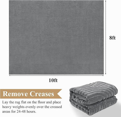 Pauwer 8x10 Washable Area Rugs for Living Room Modern Grey Solid Color Soft Fluffy Rugs for Bedroom Non Slip Boho Accent Indoor Mat Floor Carpet Cover for Kids Room Dining Room Kitchen Office