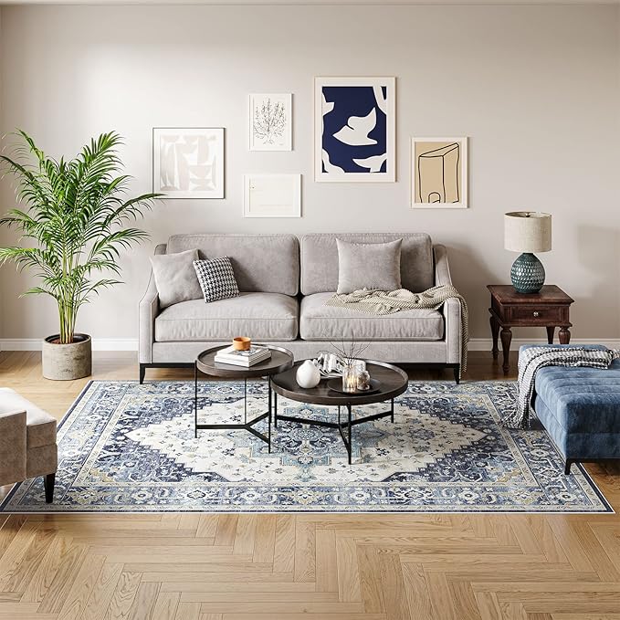 Dripex 8x10 Area Rugs - Stain Resistant Washable Rug Distressed Rugs for Living Room Dining Room Bedroom Anti-Slip Low-Pile and Soft Accent Rug Farmhouse Office Home Decor, Pet & Child Friendly