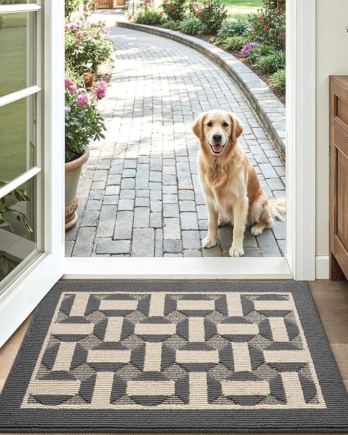 LUMI Washable Indoor Entrance Doormat 32x48, Absorbent Quick-Dry Dirt Trapper Mats for Dogs, Rubber Backing Non-Slip Low Profile Entryway Door Mat for High Traffic, Grey