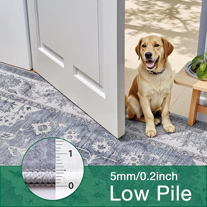 LUMI Washable Area Rug 4x6 for Living Room, Ultra Soft Stain Resistant Carpet with Non Slip Rubber Backing, Non-Shedding Low Pile Rugs for Bedroom, Dining Room, Indoor, Office