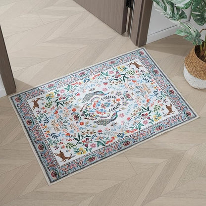 Rugcomf Entryway Rug 2x3 Rug Door Mat Indoor Entrance Washable Rug Small Non-Slip Low Pile Throw Rugs for Entryway, Kitchen, Front Door Indoor Entrance, Entry(Colorful)