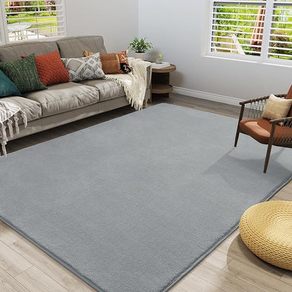Amearea Modern Area Rugs for Bedroom Living Room, 4x6 Feet Grey Thickened Memory Foam Rug, Fluffy Indoor Washable Rugs Non Slip Minimalist Carpet for Kids Boys Girls Dorm Nursery Room Decor