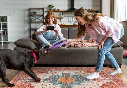 Moynesa Ultra-Thin Washable Area Rug - 4x6 Pink Rugs for Bedroom Girls Vintage Rug for Living Room, Non Slip Non Shedding Low Pile Indoor Throw Carpet for Nursery Office Entryway Kitchen Foyer