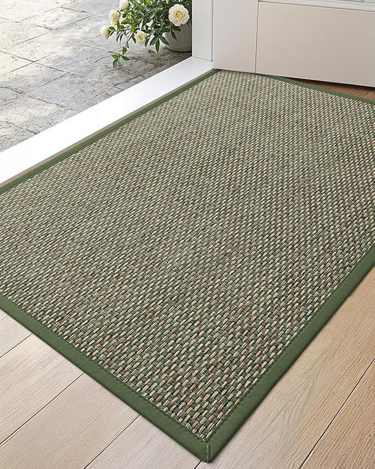 DEXI Ultra Thin Entryway Indoor Door Mat 17x30, Non Slip Rubber Backing Inside Entry Mat, Low Profile Easy Clean Dirt Trapper Doormat for Inside Entrance Patio, Green