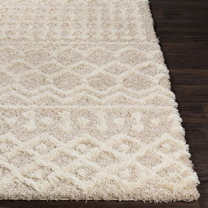 Livabliss Hapsburg Moroccan Shag Area Rug, 6'7" x 9'6", Beige