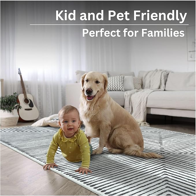 Bloom Rugs Washable Non-Slip 4' x 6' Rug - Black/Ivory Striped Area Rug for Living Room, Bedroom, Dining Room, and Kitchen - Exact Size: 4' x 6'