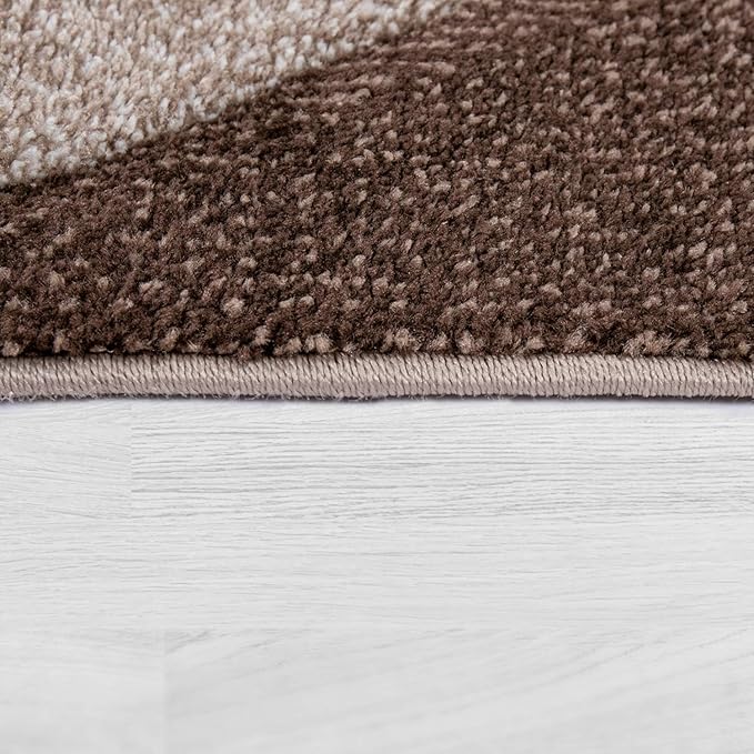Paco Home Modern Area Rug Bordered with Geometric Pattern in Brown Beige with Contour Cut, Size: 4' x 5'7"