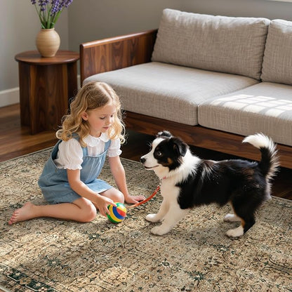 Moynesa Vintage Brown Washable 5x7 Area Rugs for Living Room, Boho Area Rug for Bedroom Dining Room Kitchen, Low Pile Soft Non-Slip Retro Carpets for Office Indoor Nursery
