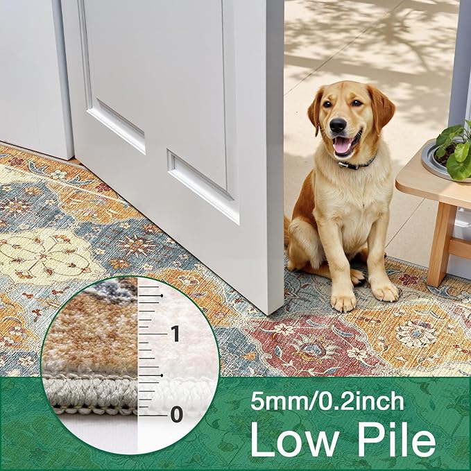 LUMI Washable Area Rug 5x8 for Living Room, Ultra Soft Stain Resistant Carpet with Non Slip Rubber Backing, Non-Shedding Low Pile Rugs for Bedroom, Dining Room, Indoor, Office