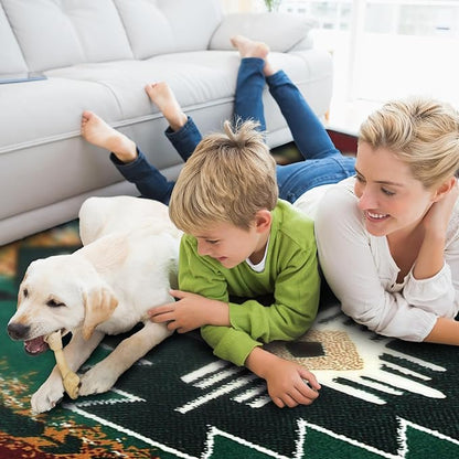 YHSF South West Native American Area Rug C318 - Easy Clean, Thick, Soft, Durable Native Tribal American Indian Inspired Rug for Bedroom/Living Room and More - Hunter Green, 3 ft 10 in x 5 ft 2 in