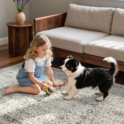 Moynesa Vintage Washable Grey 5x7 Living Room Rug, Neutral Area Rug for Bedroom Dining Room Kitchen, Low Pile Soft Non-Slip Retro Carpets for Office Indoor Nursery