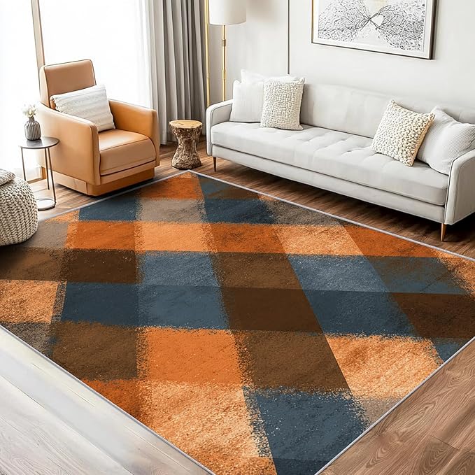 Checkered Geometric Rug, Washable 5x8 Rug for Living Room, Modern Abstract Patterned Indoor Carpet, Checkered Geometric Decor for Home, Bedroom, Soft Non Slip Thin Design FER49