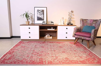 Alfa Rich 4x6 Pink Gray Reversible Washable Area Rugs for Living Room Bedroom Kitchen Decor Rug