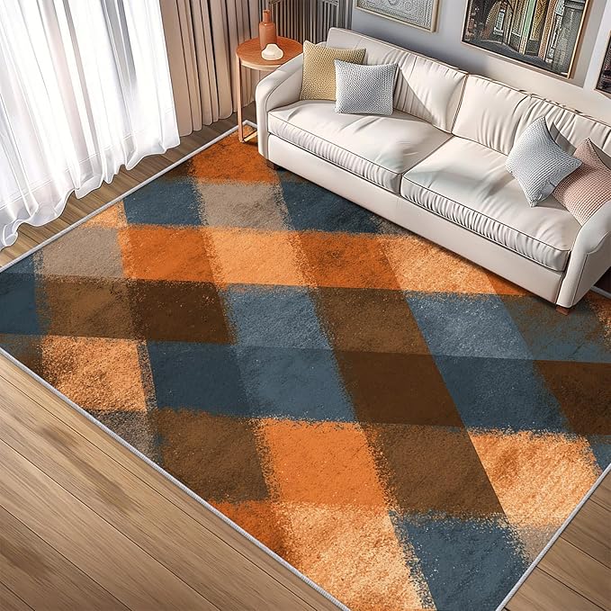 Checkered Geometric Rug, Washable 6x8 Rug for Living Room, Modern Abstract Patterned Indoor Carpet, Checkered Geometric Decor for Home, Bedroom, Soft Non Slip Thin Design FER50