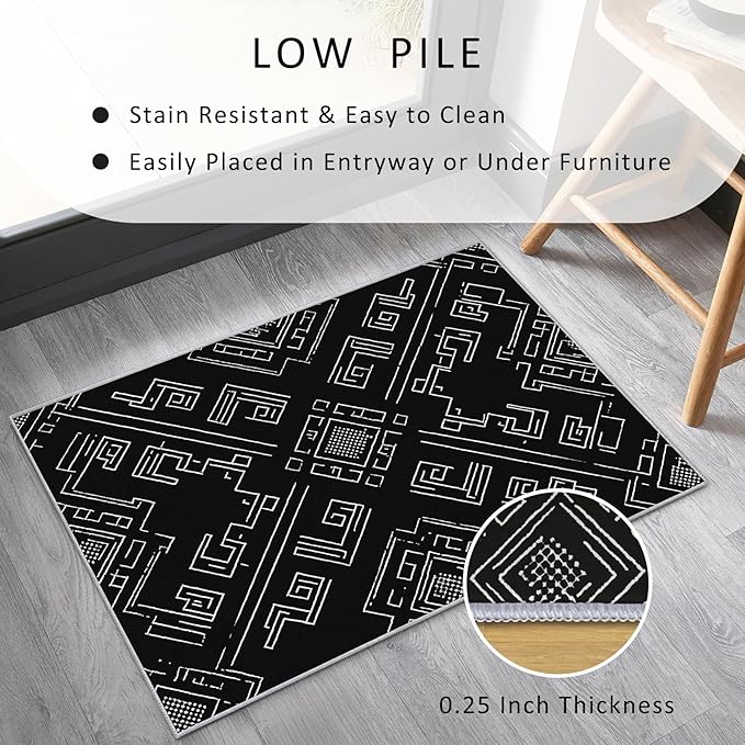 Geometric Rug, Washable 5x7 Rug for Living Room, Black and White Patterned Indoor Carpet, Modern Geometric Decor for Home, Bedroom, Soft Non Slip Thin Design FER18