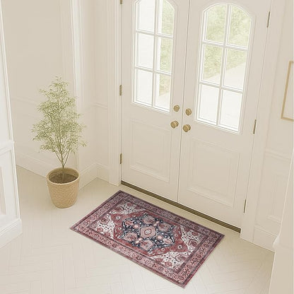 Fame Rugs Turkish Rug. Washable Vintage Oriental Antique Inspired Traditional Doormat Small Modern Area Rugs Luxury Entryway Entry Bedroom Bathroom Kitchen (404RR, 2' x 3')