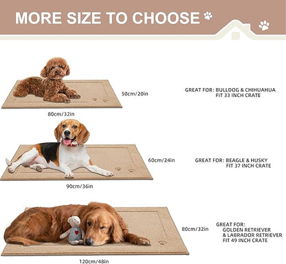 BEQHAUSE Dog Door Mat for Muddy Paws 24"x36" Dirt Trapper Absorbent Doormat Non Slip Entryway Rugs Washable Stain Resistant Welcome Floor Mat Soft Low-Profile for Front Back Door, Beige