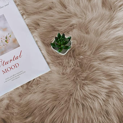 Latepis Small Area 2x4 Rug Brown Beige Faux Fur Rug Fluffy Sheepskin Shaggy Rugs for Bedroom Washable Shag Rugs for Living Room Dorm Cushion Home Décor